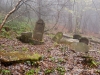 Jodlowa jewish cemetery