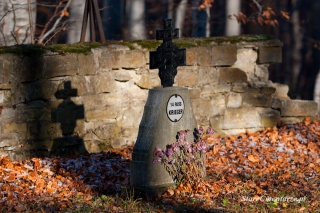 wozniczna-cmentarz24