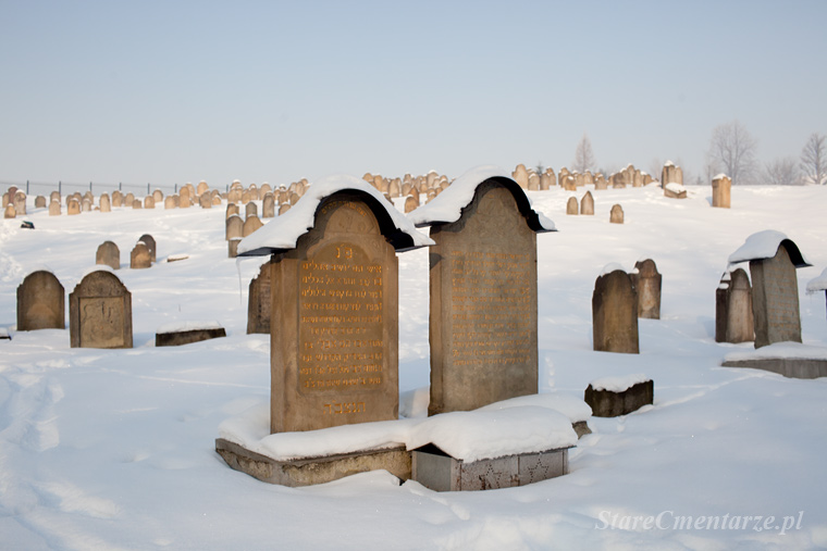 Ryglice cmentarz żydowski zdjęcia
